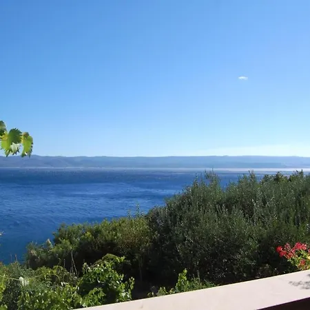 Beachfront 102 公寓 皮萨克