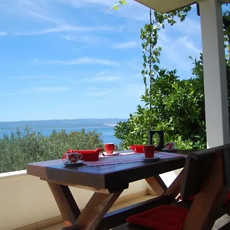 Beachfront 102 Apartment *